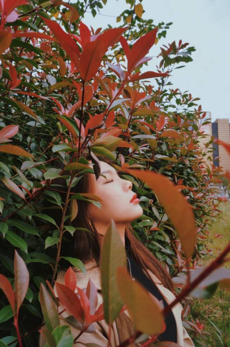 尹梦芸-湖南省·长沙市·芙蓉区-小红书，贴吧，图虫-周末约拍，风格随意，主要看你想拍什么，希望给你留下一张美好的画面，需要自己化妆，我们提前约好拍摄时间和场地。感兴趣可以找我哦！