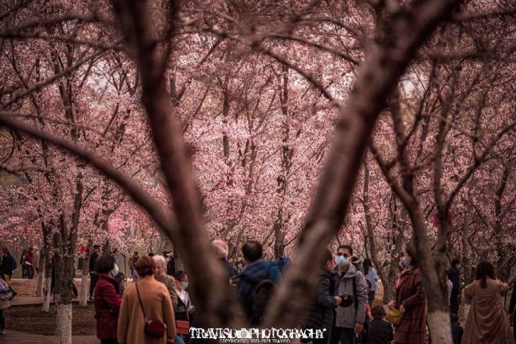 丁先生-北京市·北京市·石景山区--北京男摄影师一枚，自带佳能全画幅单反和适马85mm1.4f人像镜头。日常拍摄风光和人像的时候喜欢欧美油画风，但是也可以根据模特要求拍一些日系的糖水片。我的性格还算OK，情商在线，拍摄过程中的交流不会尴