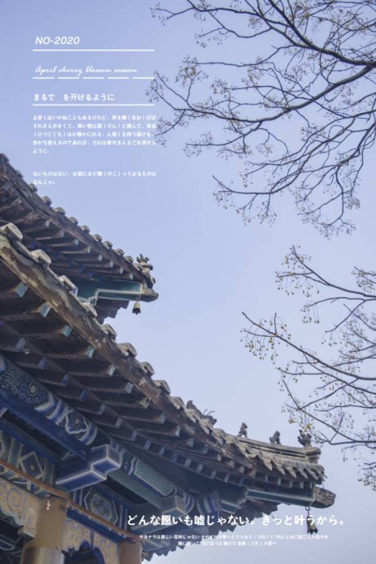 虔徒-山东省·菏泽市·牡丹区--在校学生，希望提高自身的摄影技术，以下是我的摄影作品，互免约拍